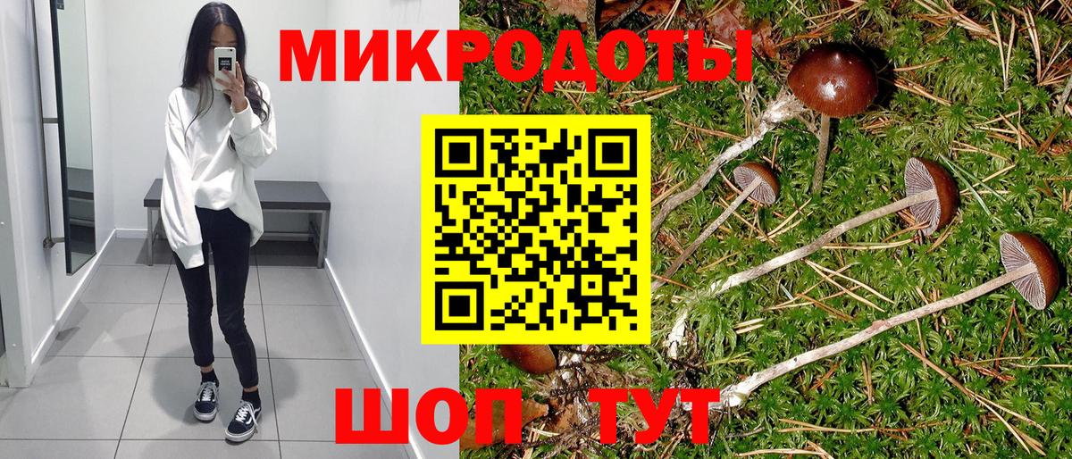 Галлюциногенные грибы мухоморы Донецк